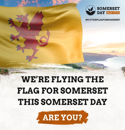 Somerset Day Fly Flag